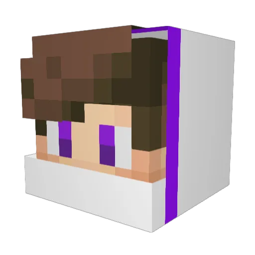 Mitmirnicht Minecraft avatar head, 3D render