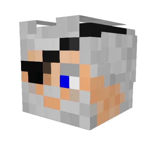 Mitochondria111 Minecraft avatar head, 3D render