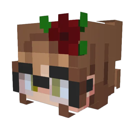 Mitrax2452 Minecraft avatar head, 3D render