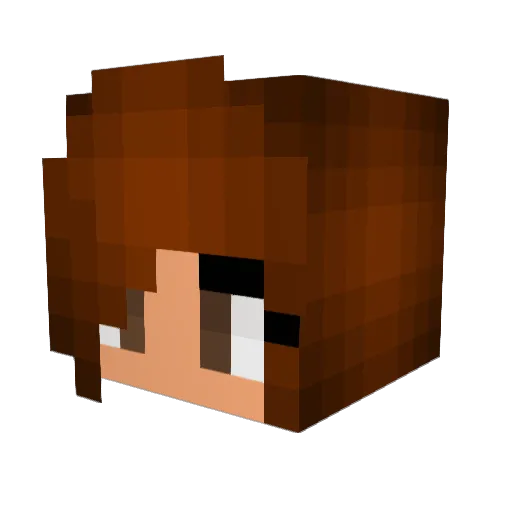 Mitschelle Minecraft avatar head, 3D render