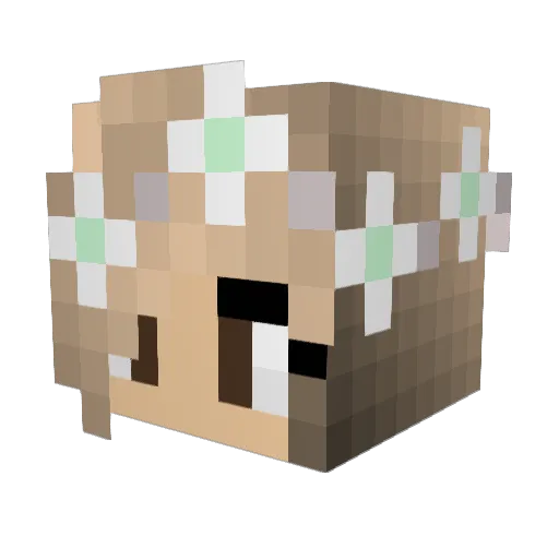 Mitsulovespi Minecraft avatar head, 3D render