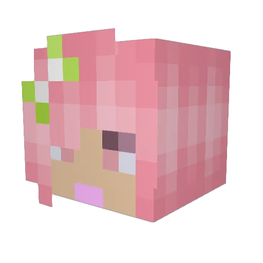 Mitten349 Minecraft avatar head, 3D render