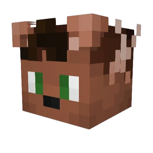 Mittens0407 Minecraft avatar head, 3D render