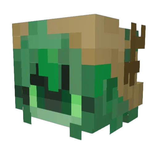 Mittens_Kitten Minecraft avatar head, 3D render