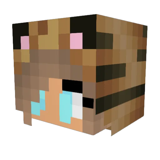 MittenxKitten Minecraft avatar head, 3D render