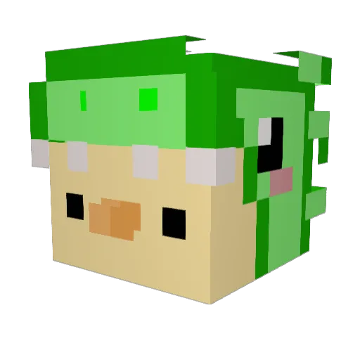 Mittsu_Gaming69 Minecraft avatar head, 3D render