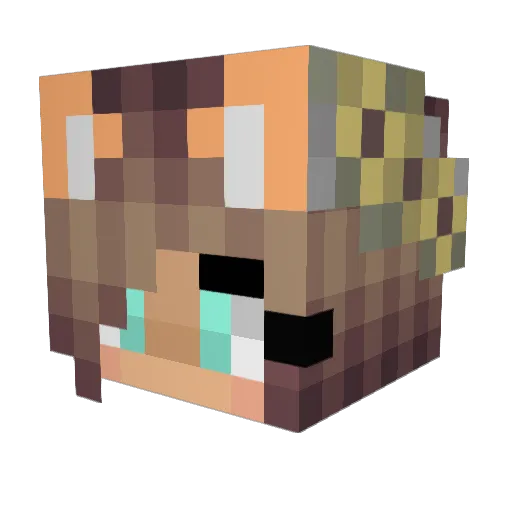 Mitty_wat Minecraft avatar head, 3D render