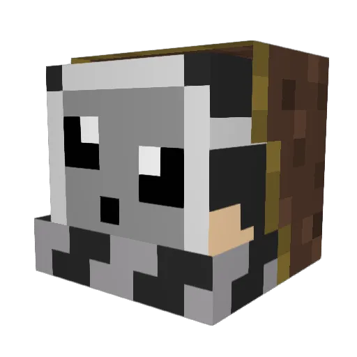 Mitylir_02 Minecraft avatar head, 3D render