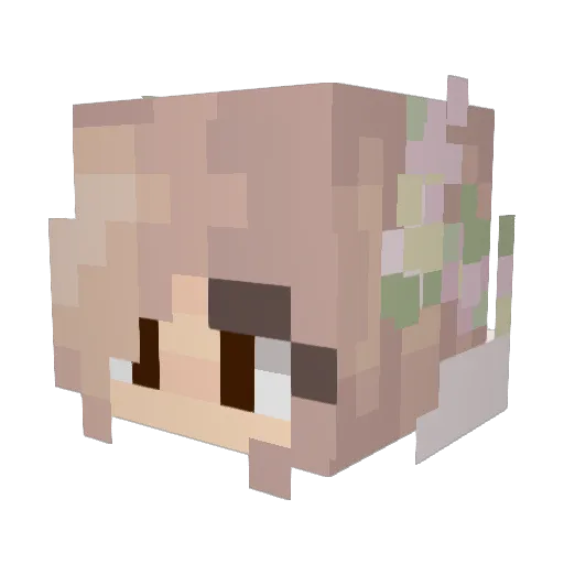 Miwalimn Minecraft avatar head, 3D render