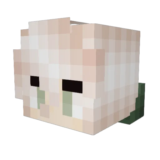 Miwoo0 Minecraft avatar head, 3D render