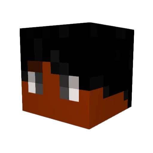 Mixedboi14690 Minecraft avatar head, 3D render