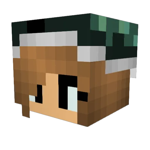 Mixicat111 Minecraft avatar head, 3D render