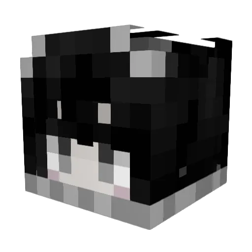 MiyQ02 Minecraft avatar head, 3D render