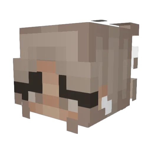 Miyracle Minecraft avatar head, 3D render