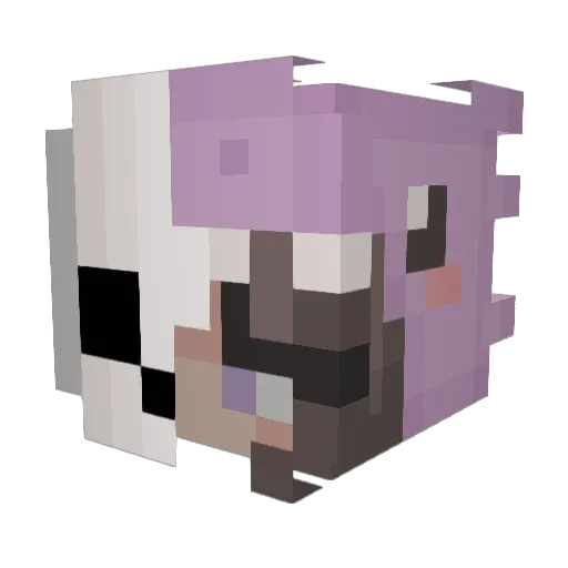 Miyuki373 Minecraft avatar head, 3D render