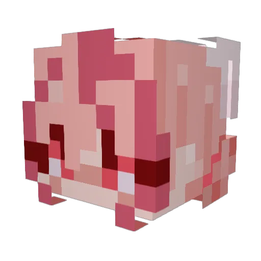 MiyuuMeww Minecraft avatar head, 3D render
