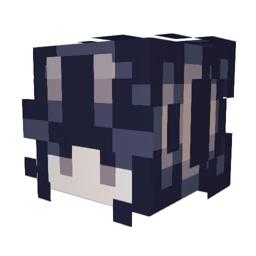 Miz_Bizzard Minecraft avatar head, 3D render