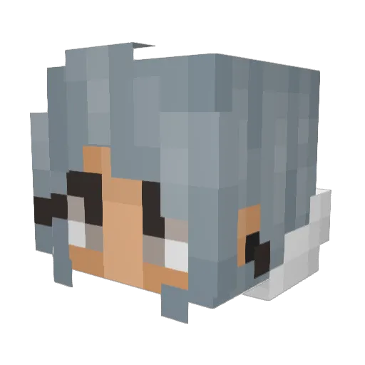 Miz_Potato Minecraft avatar head, 3D render