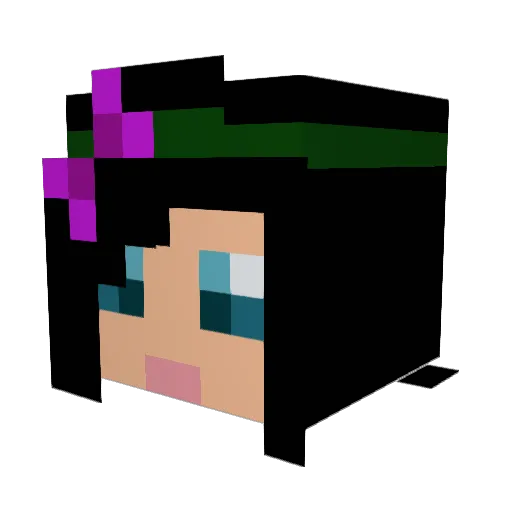Miznomer Minecraft avatar head, 3D render