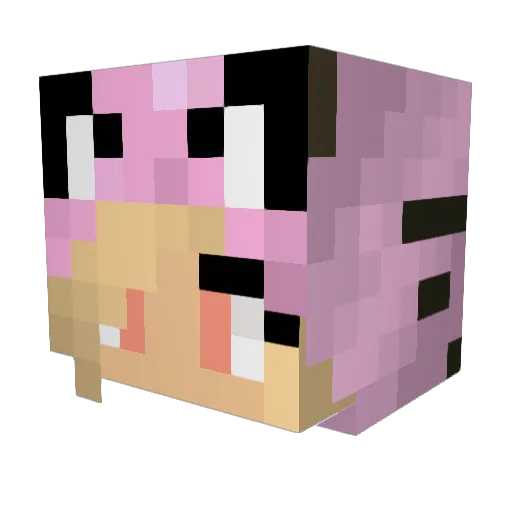 Mizqw Minecraft avatar head, 3D render