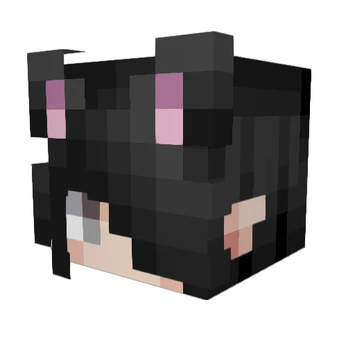 Mizuhir0_ Minecraft avatar head, 3D render