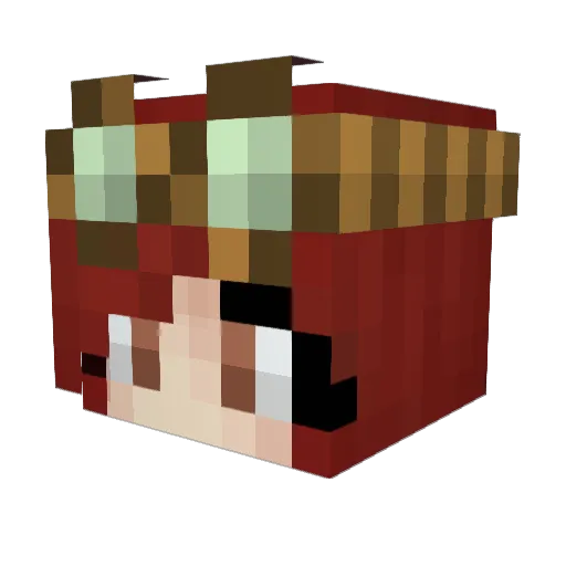 Mizuiro507 Minecraft avatar head, 3D render