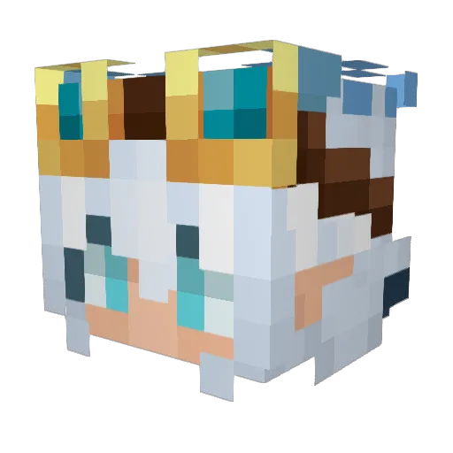 Mizza6310 Minecraft avatar head, 3D render