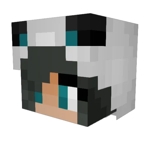 Mjausan Minecraft avatar head, 3D render
