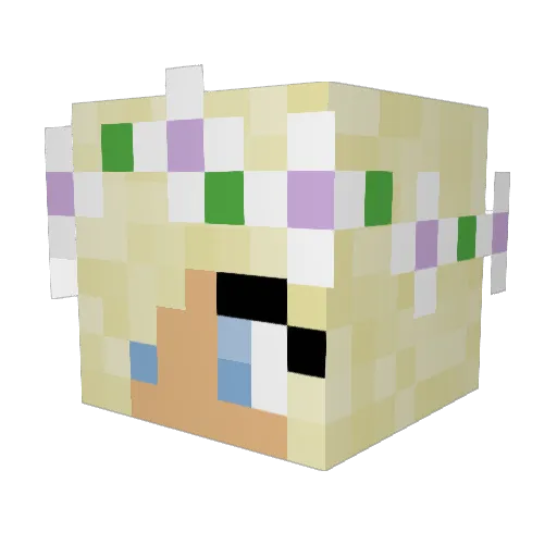 Mjaymes Minecraft avatar head, 3D render