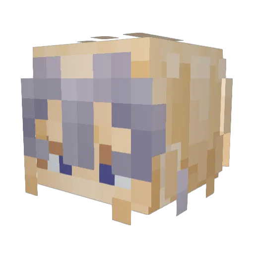 Mjfs1 Minecraft avatar head, 3D render