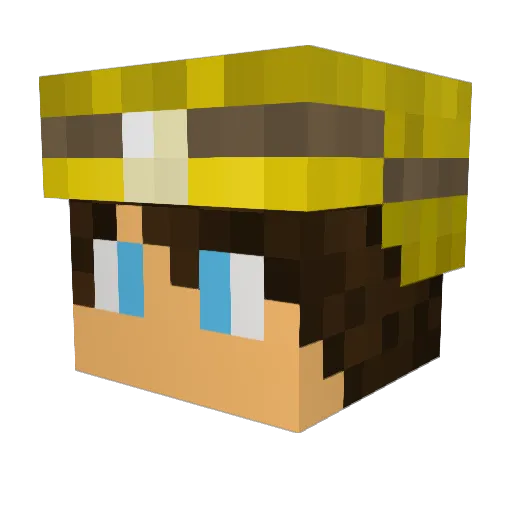 Mjminer15 Minecraft avatar head, 3D render
