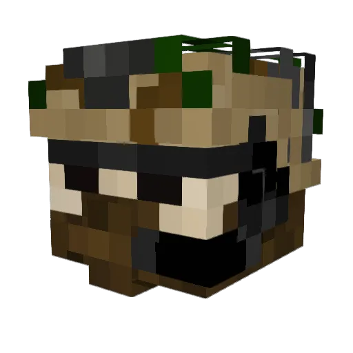 Mjoelnir71 Minecraft avatar head, 3D render