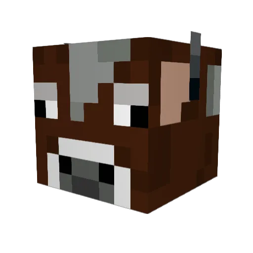 Mjsul321 Minecraft avatar head, 3D render