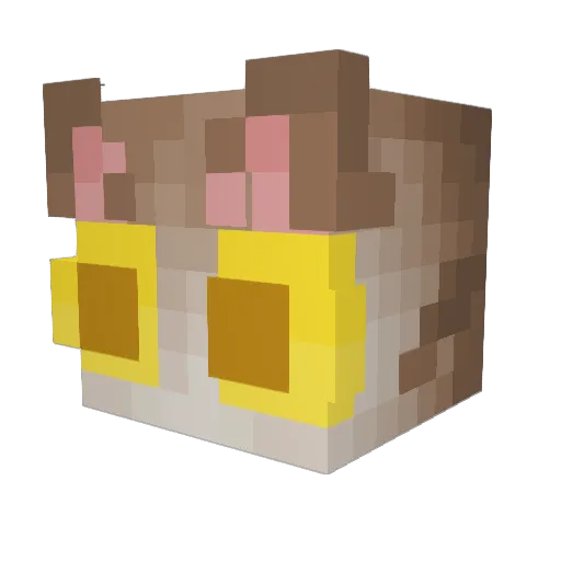 Mkbillion Minecraft avatar head, 3D render