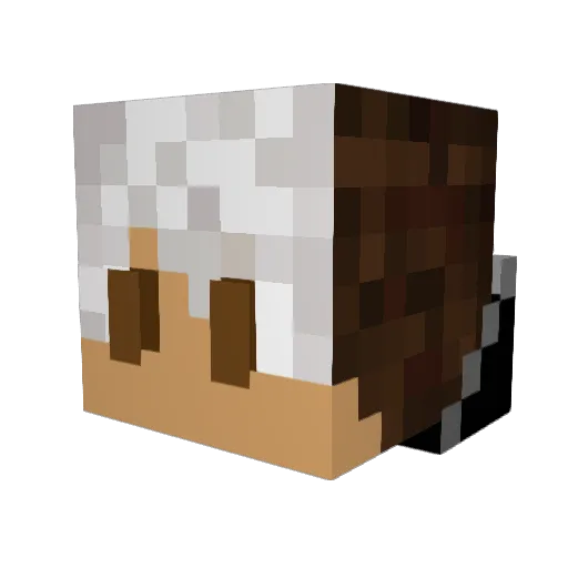 Mkhel Minecraft avatar head, 3D render
