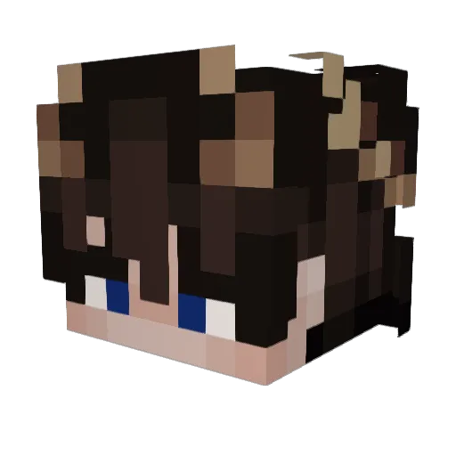 Mki9 Minecraft avatar head, 3D render