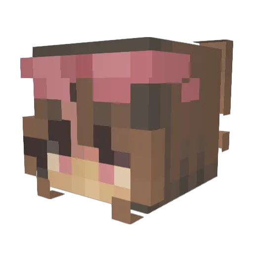 Mlemily69 Minecraft avatar head, 3D render