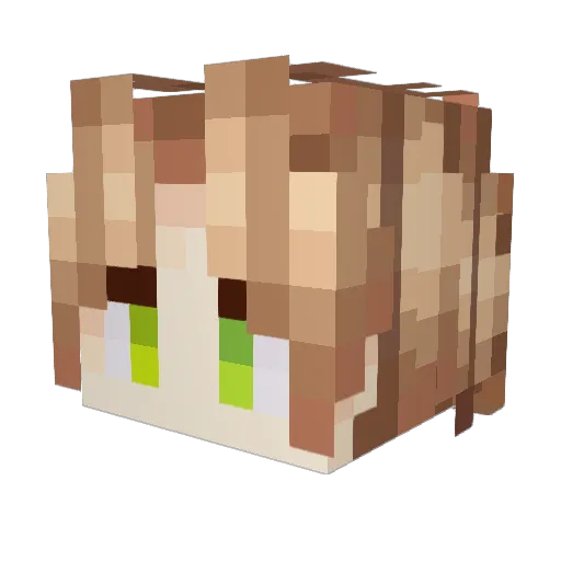 Mlgr221 Minecraft avatar head, 3D render