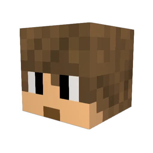 Mliua Minecraft avatar head, 3D render