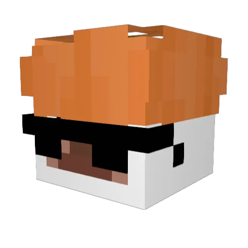 Mlixu2137 Minecraft avatar head, 3D render