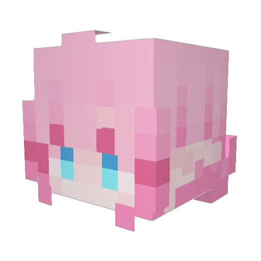 MlleCactuss Minecraft avatar head, 3D render