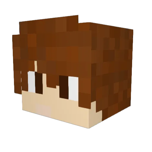 Mlocbrak Minecraft avatar head, 3D render