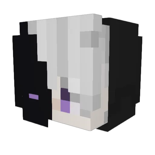 Mlody_Zytek Minecraft avatar head, 3D render