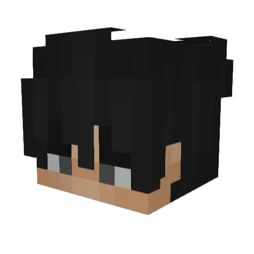 Mlodyfafik Minecraft avatar head, 3D render