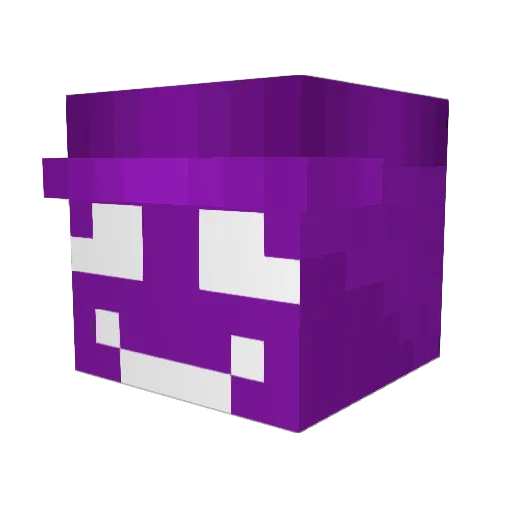 Mloiz03 Minecraft avatar head, 3D render