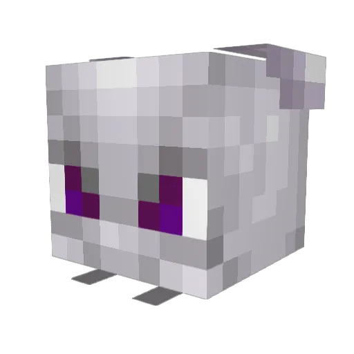 Mlsdoc Minecraft avatar head, 3D render