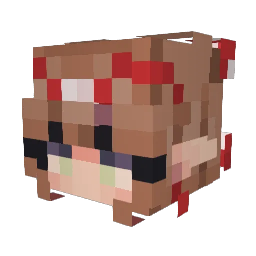 Mmaster5 Minecraft avatar head, 3D render