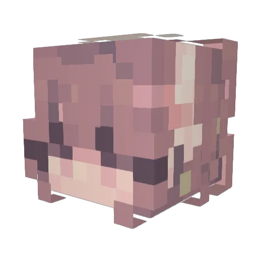 Mme_Salvatore Minecraft avatar head, 3D render