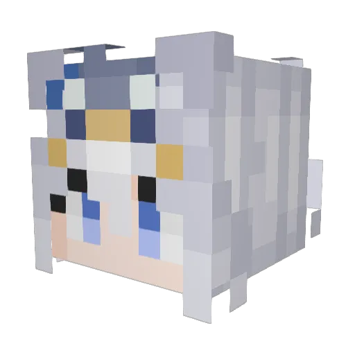 MmonsterCat Minecraft avatar head, 3D render