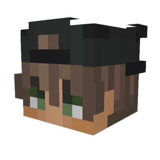 MnnSk8 Minecraft avatar head, 3D render